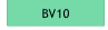 BV10.
