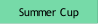 Summer Cup.